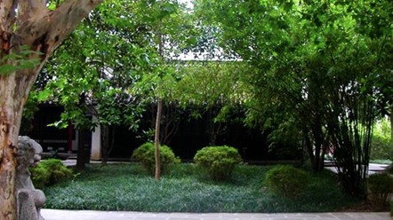 4天前公园散步被强光刺眼——从杭州到潍坊，别再为模糊决策买单